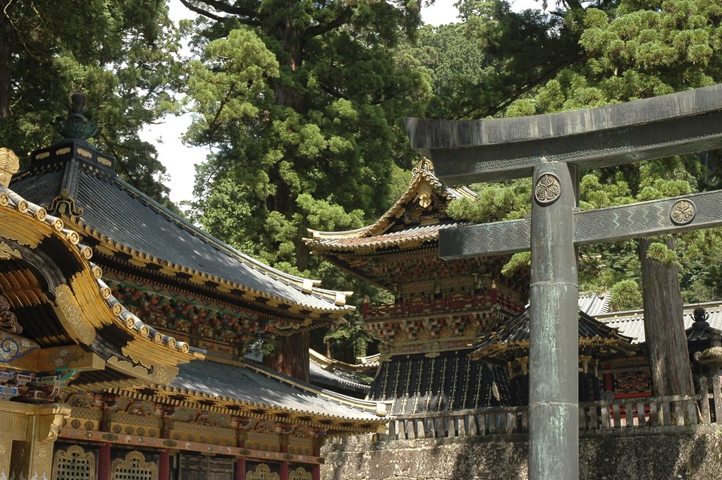 071   Japonia